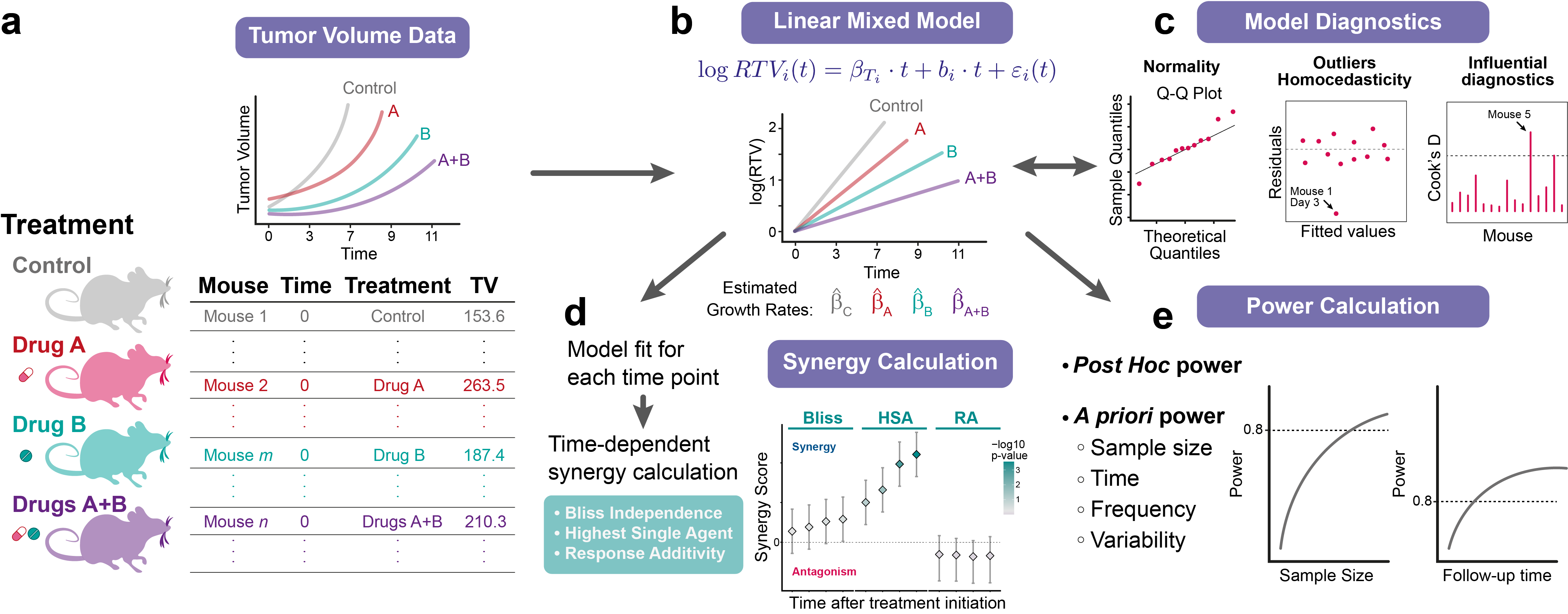 SynergyLMM workflow overview.